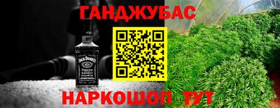 молекула духа Гатчина