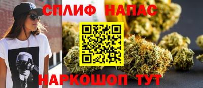 молекула духа Гатчина