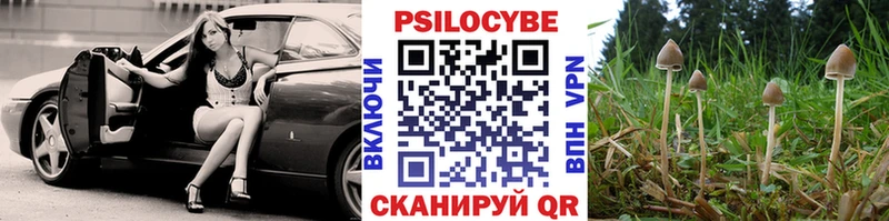 Галлюциногенные грибы MAGIC MUSHROOMS  кракен вход  Новый Уренгой  купить наркотики цена 